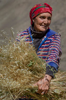 2015 Tajikistan