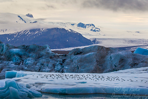 067 Iceland