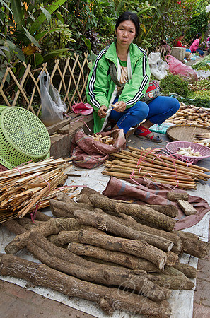 063 Luang Prabang - Laos