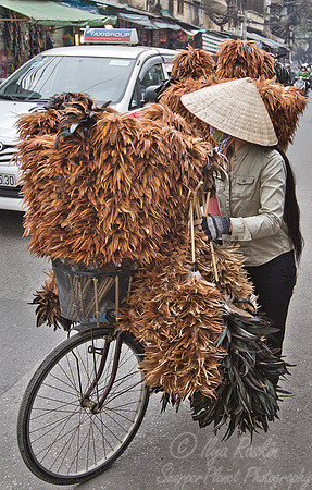 116 Hanoi - Vietnam