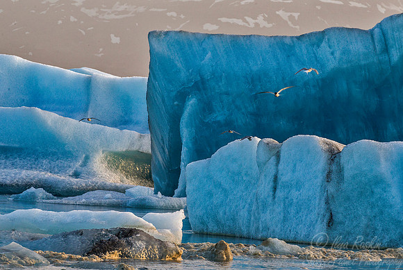 065 Iceland