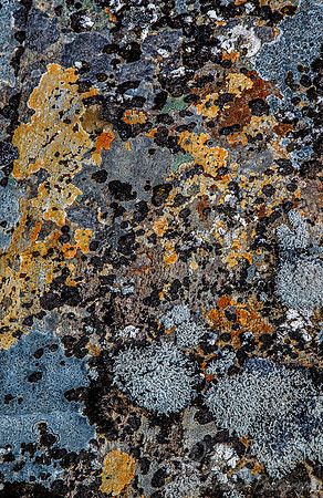 060 Iceland