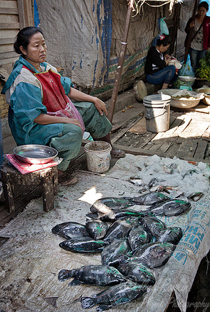 083 Vientiane - Laos
