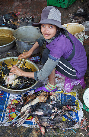 033 Siem Reap - Cambodia