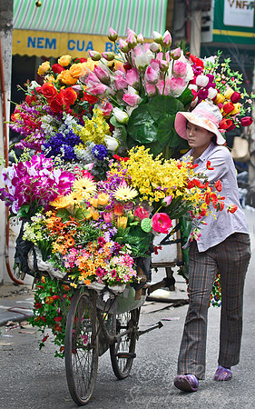 091 Hanoi - Vietnam