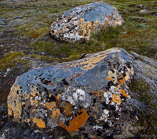 059 Iceland