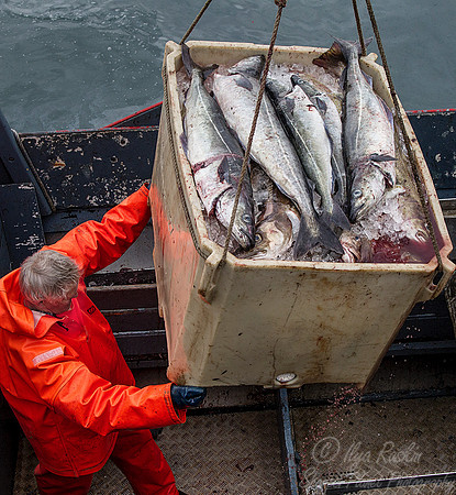 097 Husavik - Iceland