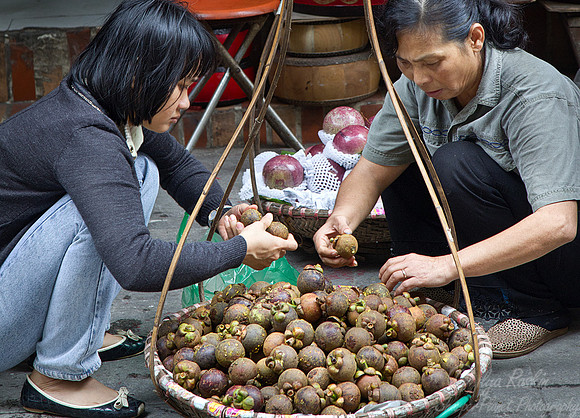 102 Hanoi - Vietnam