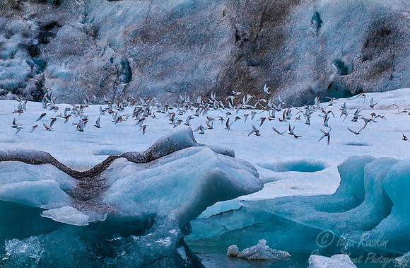 066 Iceland