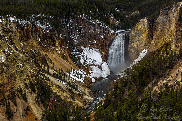 124 Yellowstone NP