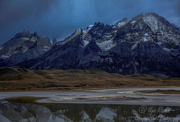 067 Torres del Paine - Patagonia Chile