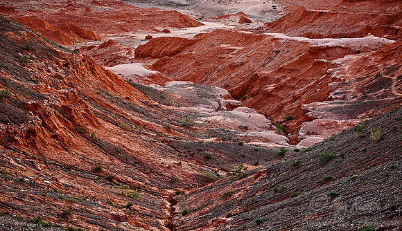012 Gobi Desert - Mongolia