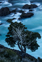 2016 Patagonia Landscapes
