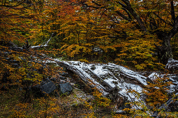 070 Patagonia Argentina