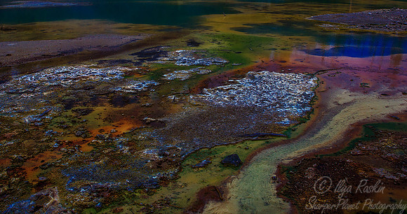 131 Yellowstone NP