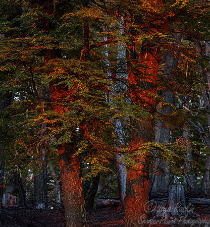 044 Patagonia Chile