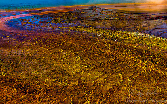134 Yellowstone NP