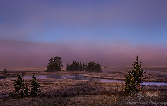 136 Yellowstone NP