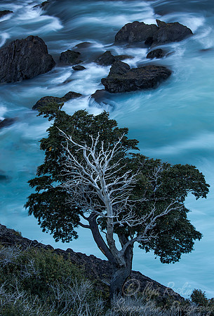056 Torres del Paine - Patagonia Chile