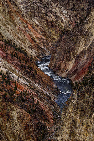 126 Yellowstone NP