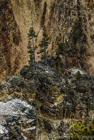 128 Yellowstone NP