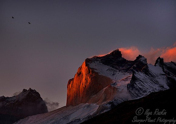 059 Torres del Paine - Patagonia Chile