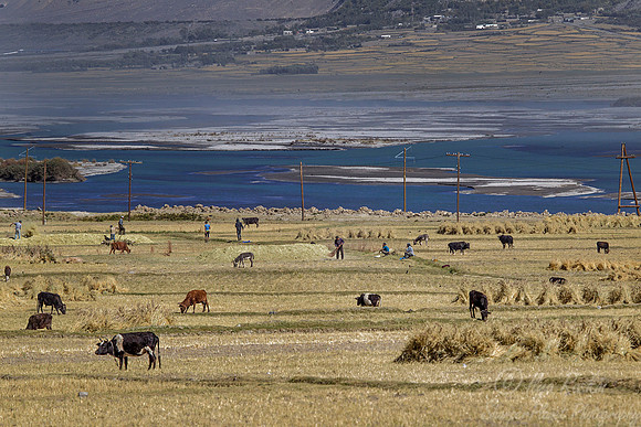 047 Panj River Valley - Tajikistan