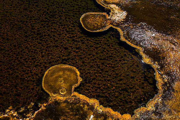 132 Yellowstone NP