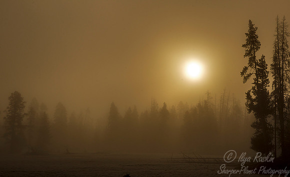 135 Yellowstone NP