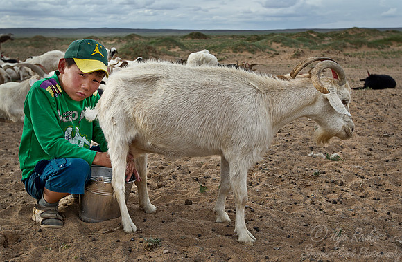 066 Gobi Desert - Mongolia