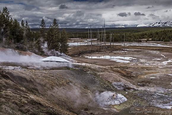 122 Yellowstone NP