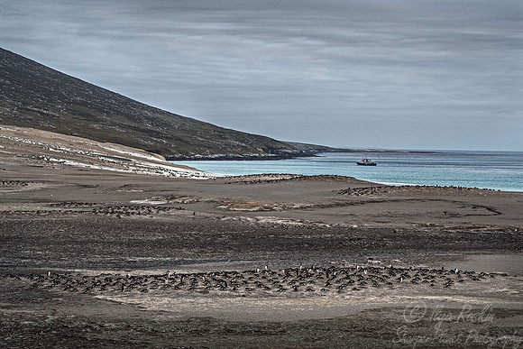 084 Falkland Islands