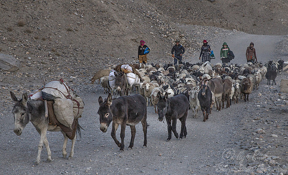 094 Pamir - Tajikistan