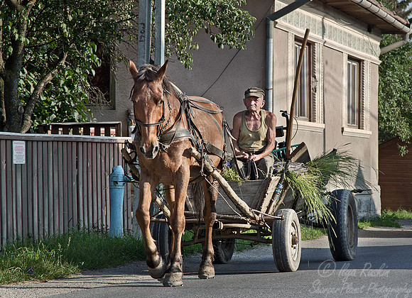 021-1 Transylvania - Romania