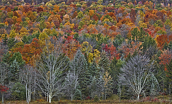 034_Pennsylvania