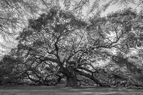 112 Charleston SC