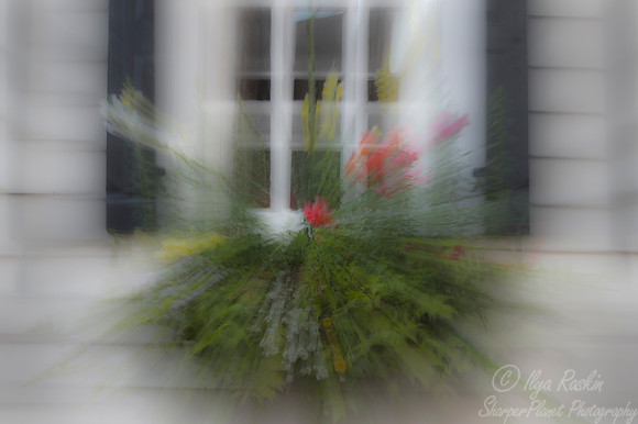 108 Window box - Charleston SC