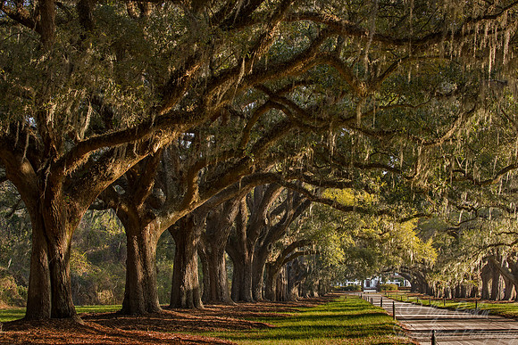 114 Charleston SC