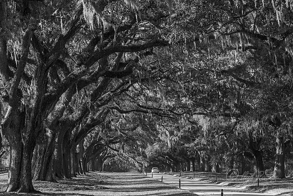 116 Charleston SC