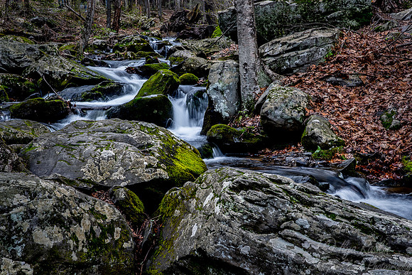 123 Bushkill Falls - PA