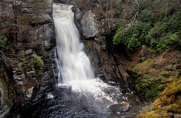 124 Bushkill Falls - PA