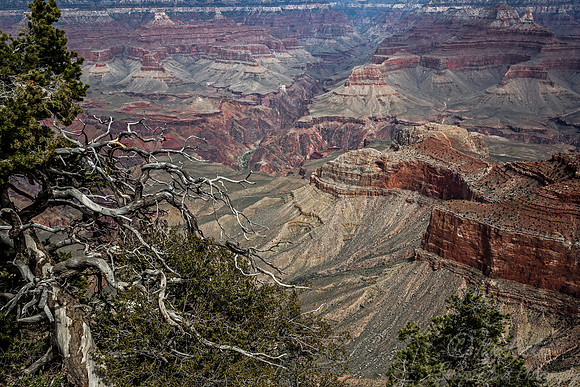140 Grand Canyon NP