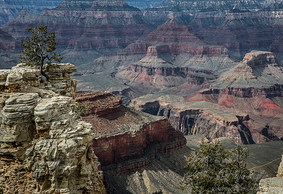 141 Grand Canyon NP