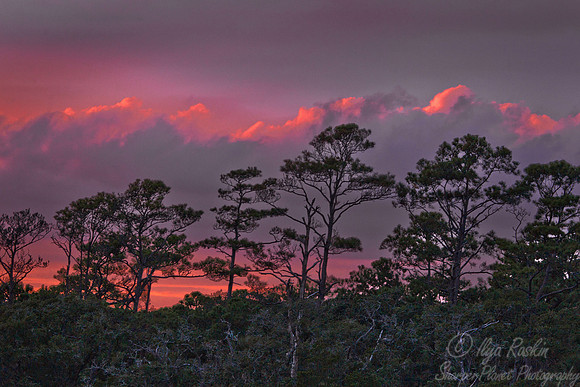 089 Kiowah Island - SC