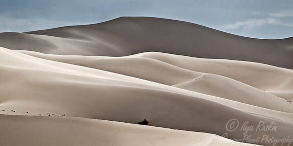 006 Gobi Desert - Mongolia