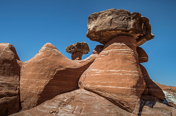 177 Toadstool Hoodoos - Utah
