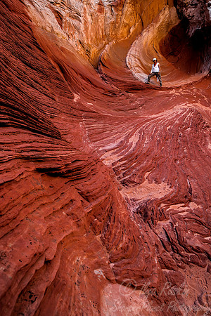 173 White Pocket - AZ