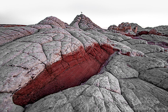 176 White Pocket - AZ