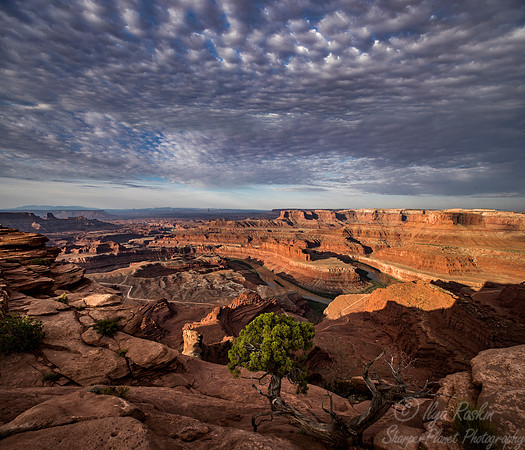 158 Moab - Utah