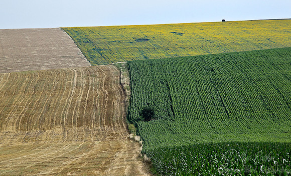 032 Rousse - Bulgaria